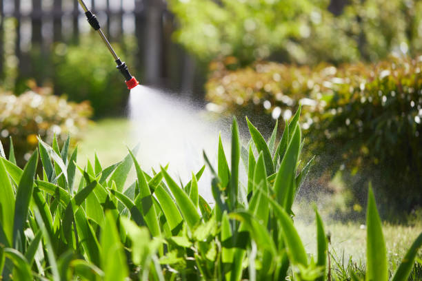 24/7 Emergency Cockroach Control experts in Omega, GA