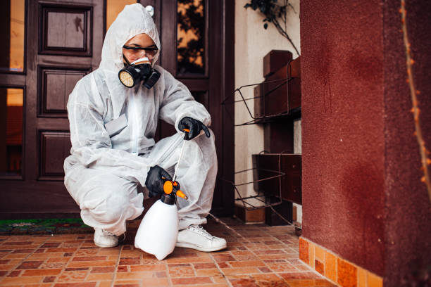 Reliable Cockroach Control contractor in Omega, GA by Nex Pest Control